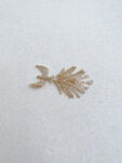 DJW-202000027-Spread-Your-Wings-Brooch-18k-Yellow-Gold-White-Diamond