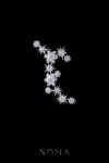 ACC-202300046-Snowflakes-Arrangement-Side-Hairvine-White-Gold