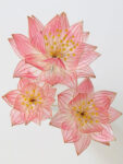 FLR-202000038-LR-Pink-Lotus-Hairpin-Set-Gold-Pink-3-pcs