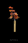 FLR-202300022-SS-Autumn-Burst-Hairpin-Set-Gold-2-pcs