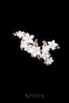 ACC-202300105-Clay-Flower-Jasmine-Arrangement-Side-Hairvine-White-Silver