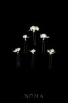 FLR-202200029-LR-Jasmine-Bouquet-Small-Hairpin-Set-White-Silver-White-6-pcs