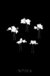 FLR-202400018-CC-Magnolia-Garden-with-Pearl-Hairpin-Set-White-Silver-White-5-pcs