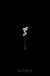 MEN-202400023-Paved-Twigs-Lapel-Pin-Rhodium-White-Gold