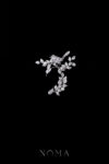 ACC-202300017-Bird-Chirping-in-the-Garden-Earpiece-White-Gold-Left
