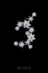 ACC-202300047-Snowflakes-Arrangement-Side-Hairvine-Pair-White-Gold-1-pair
