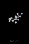 ACC-202300119-Snowflakes-Branch-Side-Hairvine-White-Gold-Right