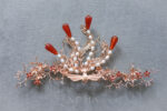 CHN-202100002-Fiery-Phoenix-Brooch-or-Hairvine-Gold-Ruby