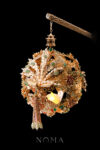CHN-202400060-Harmonious-Phoenix-Rose-Lantern-Gold