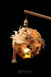 CHN-202400060-Harmonious-Phoenix-Rose-Lantern-Gold
