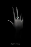 DJW-202400106-Lux-Princess-Ring-Rhodium-White-Gold-Emerald