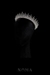 WDC-202500006-Felice-Crown-Rhodium-White-Gold