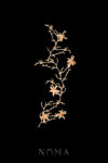 Orchid Branches Hairvine - Doff Gold