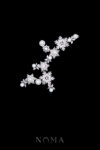 ACC-202400017-Pearly-Snowflakes-Side-Hairvine-or-Brooch-White-Gold