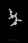 ACC-202400017-Pearly-Snowflakes-Side-Hairvine-or-Brooch-White-Gold
