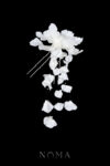 FLR-202400023-CC-Floral-Cascade-Hairpin-and-Tassel-Set-White-Silver-White