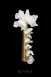 CC Floral Cascade Hairpin and Tassel Set - White Silver, White