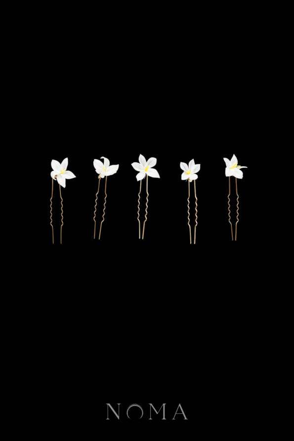 FLR-202500002-CC-Mini-Florals-Hairpin-Set-Gold-White-5-pcs