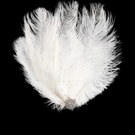 Royal Ostrich Hairpin - White Gold, White